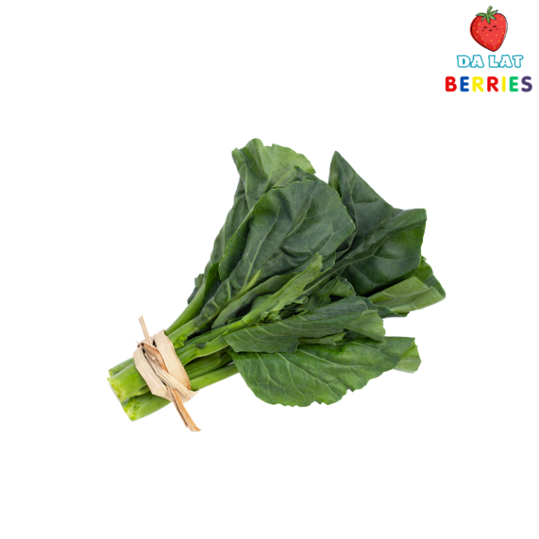 Cải Rổ Hồng Kông - Dalat Berries - Vị ngọt từ đất lành