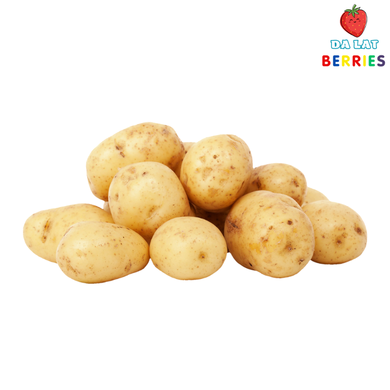 Khoai Tây Bi Đà Lạt