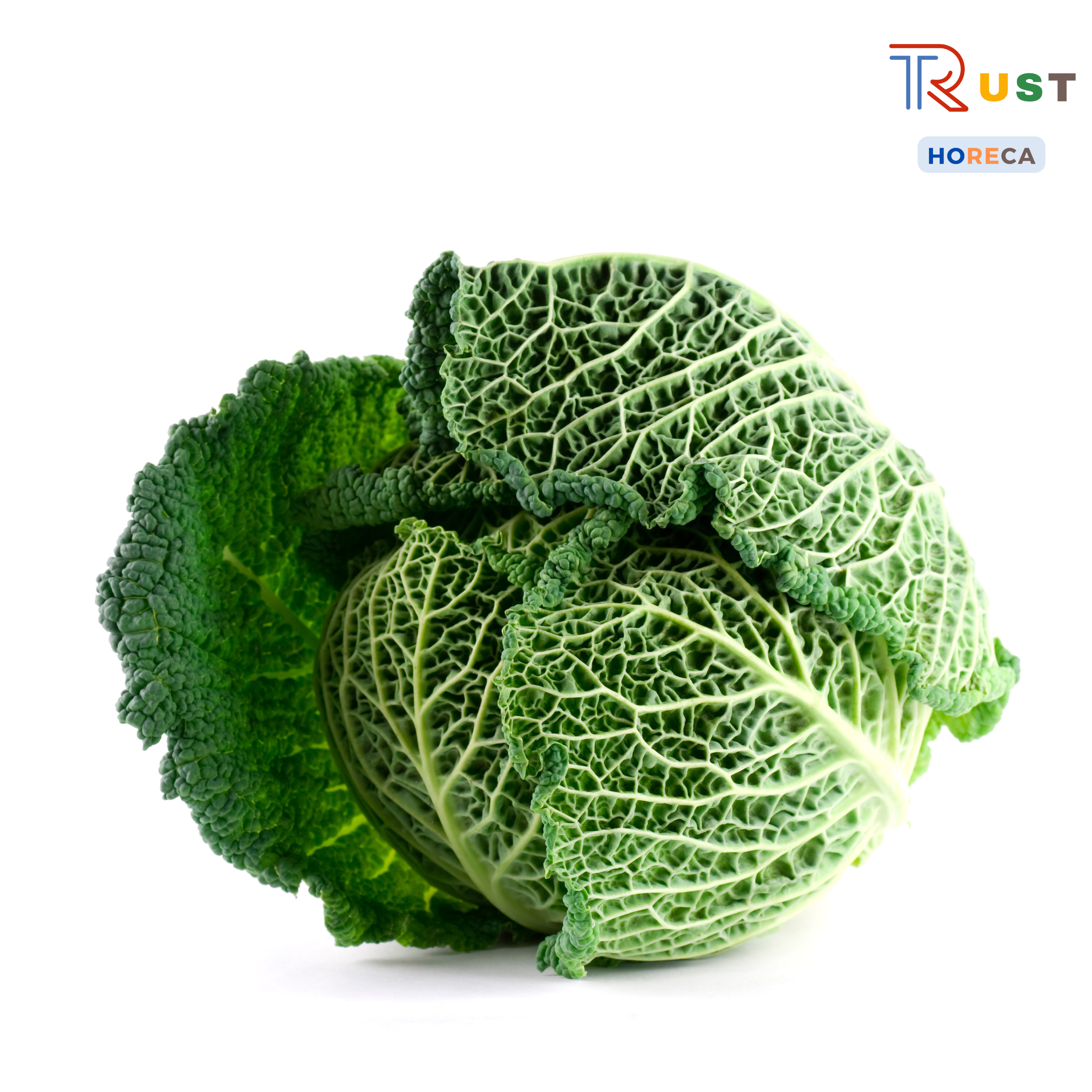 Bắp cải xoăn Savoy