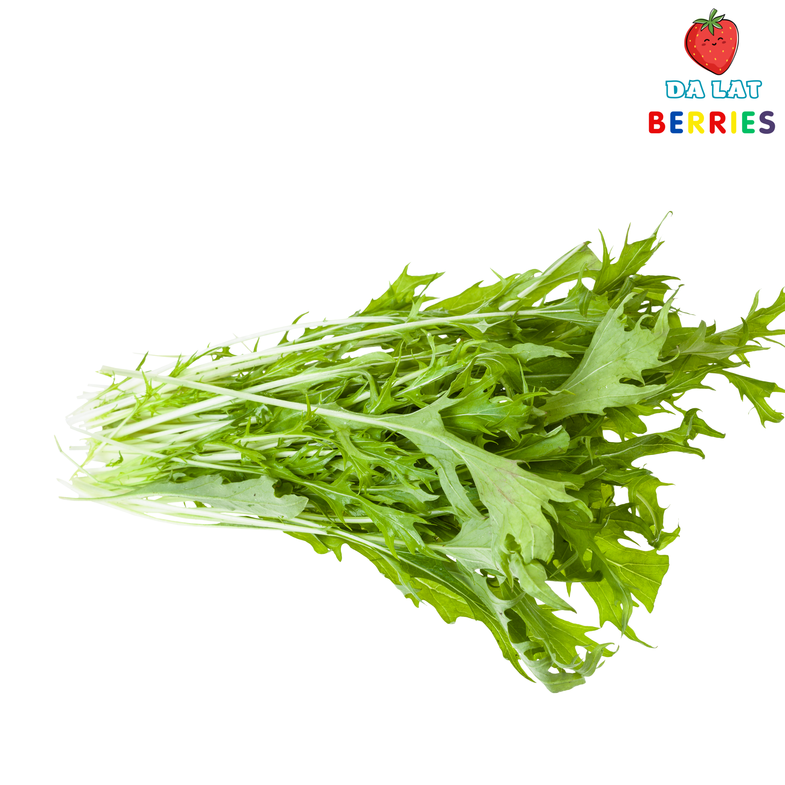 _Cải mù tạt mizuna xanh