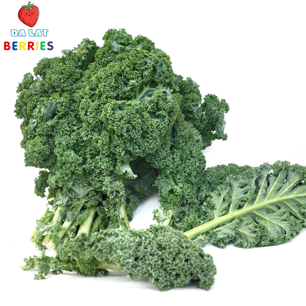 Rau Củ Detox & Giảm Cân