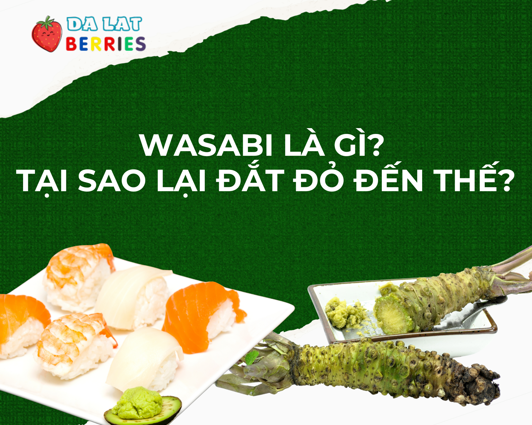 Wasabi