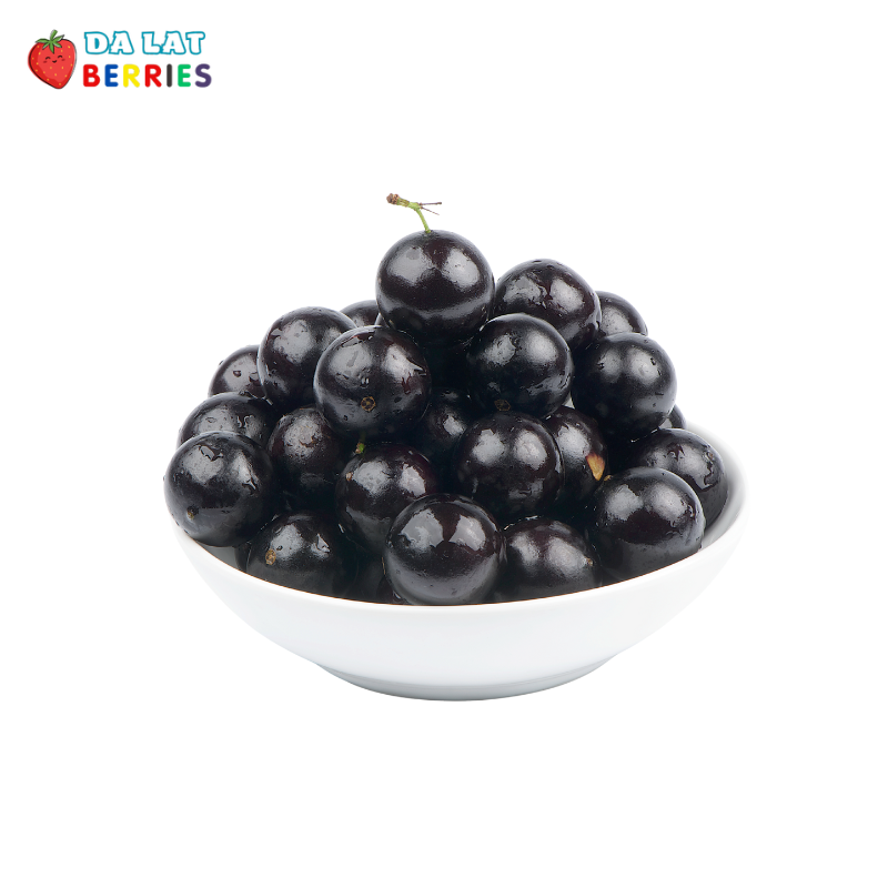 Thiết kế chưa có tên