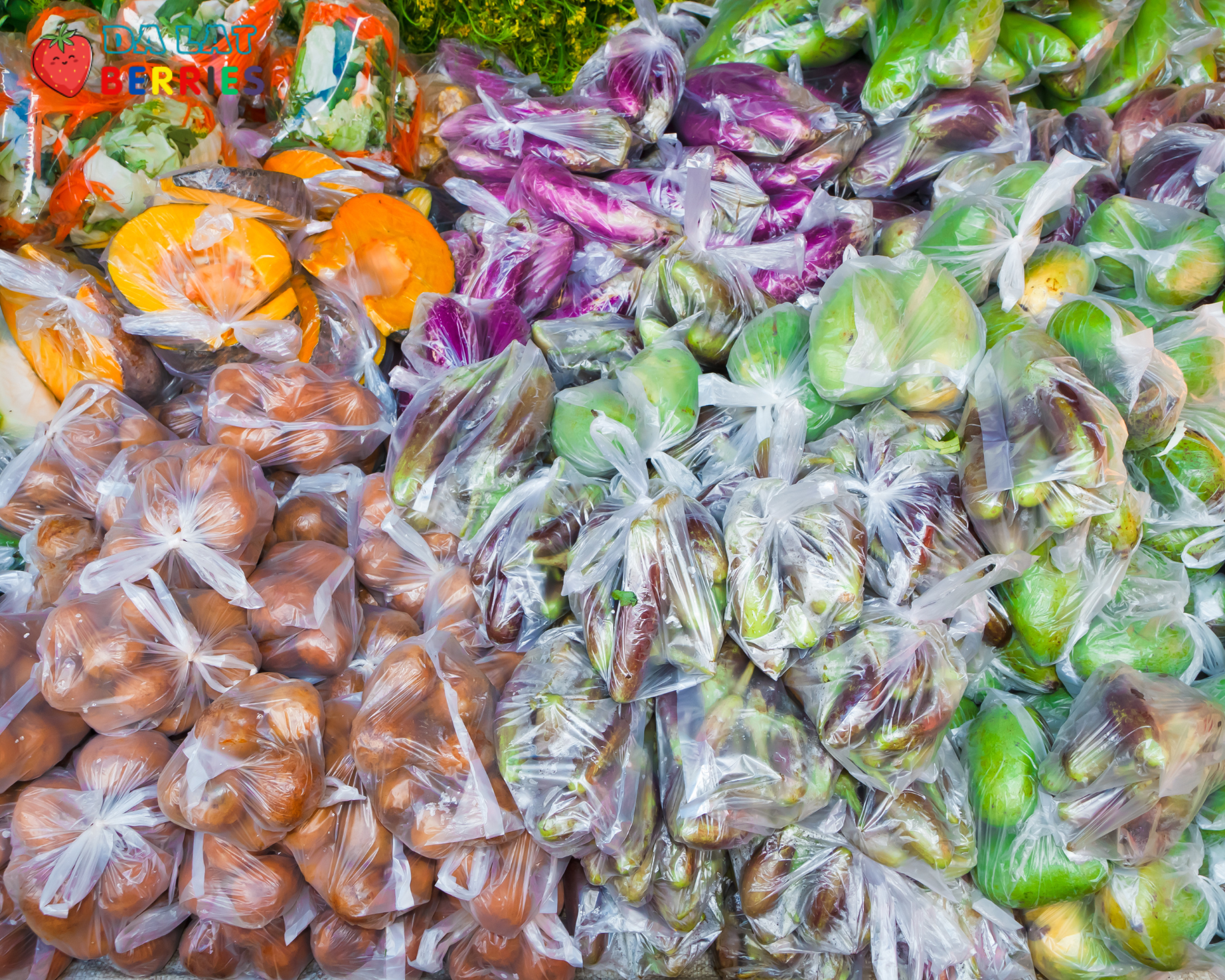 đối tác cung ứng