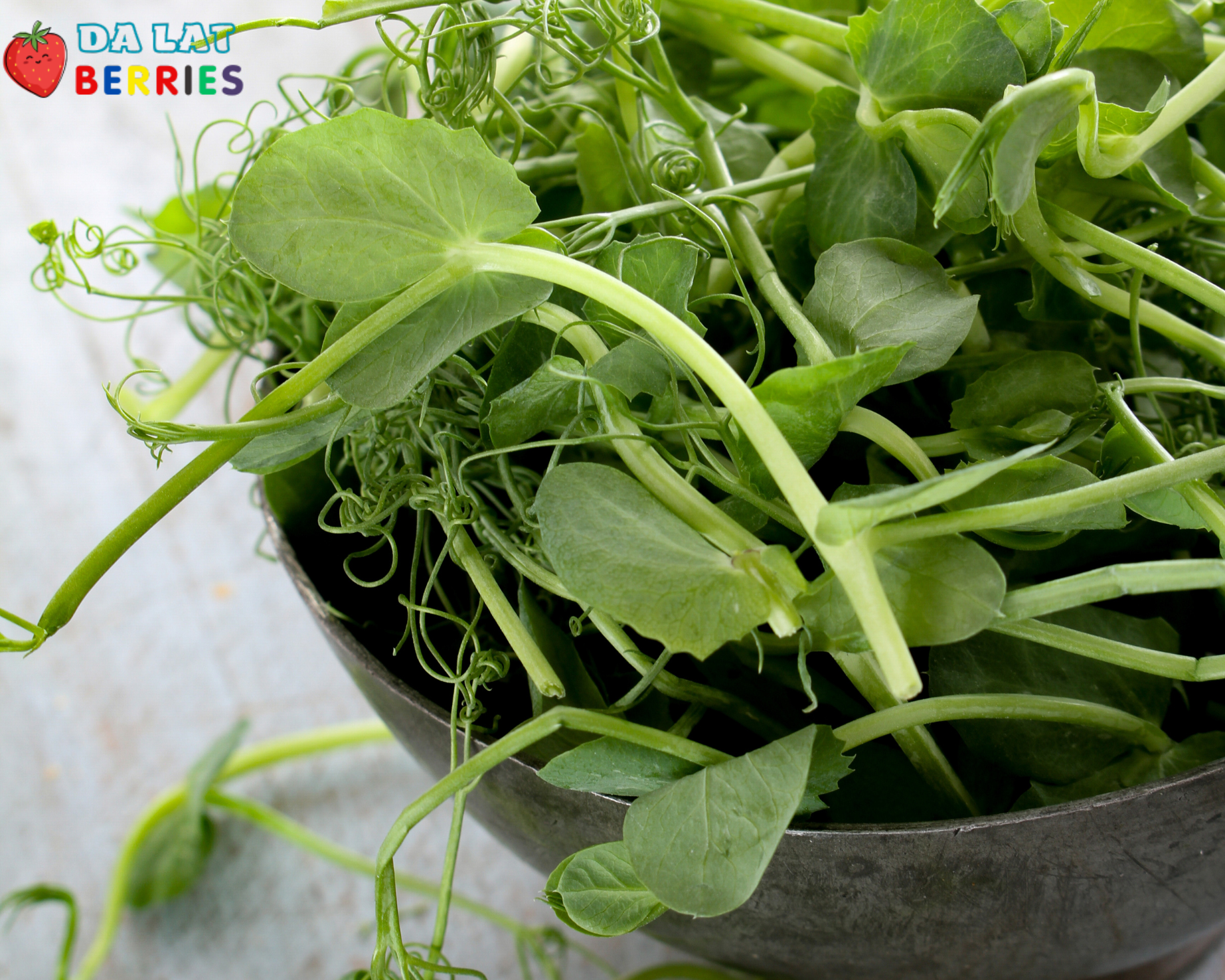 Đọt đậu Hà Lan