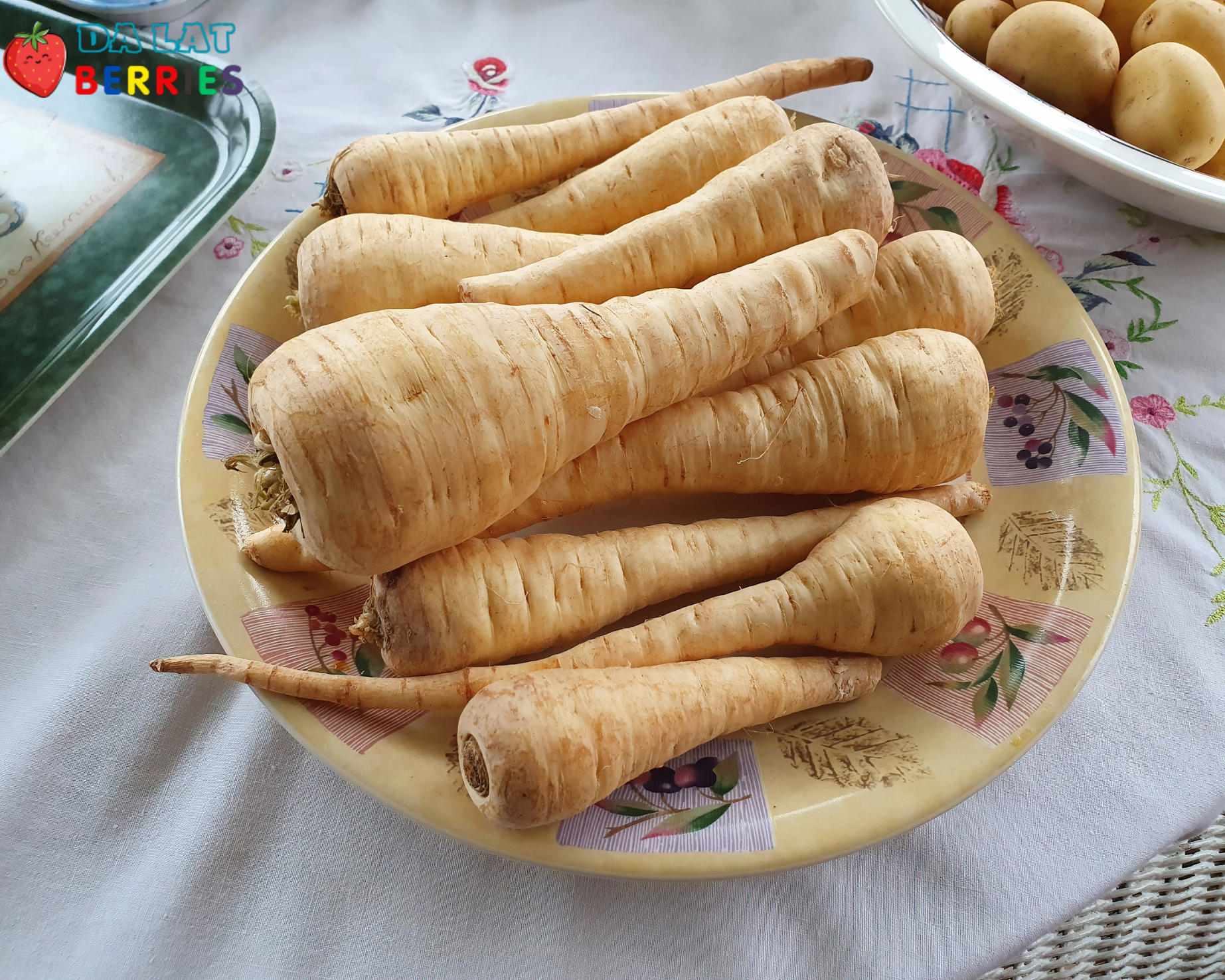 Củ parsnip nhập khẩu