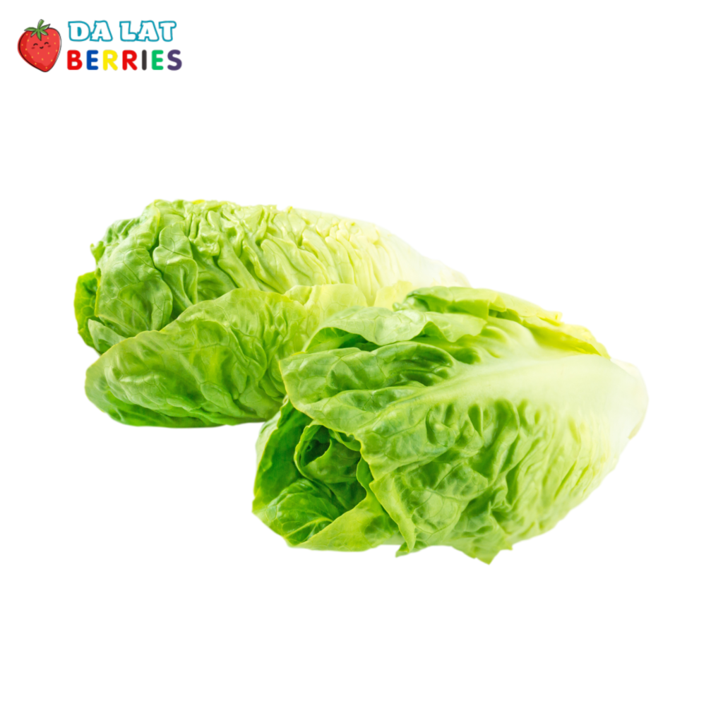 Xà lách Cos Hearts - Dalat Berries - Vị ngọt từ đất lành