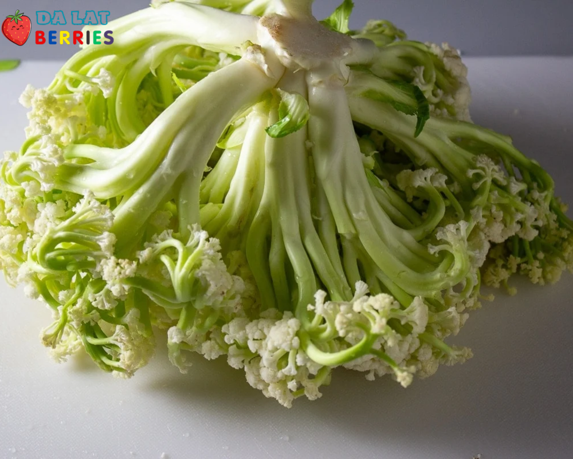 Baby Cauliflower