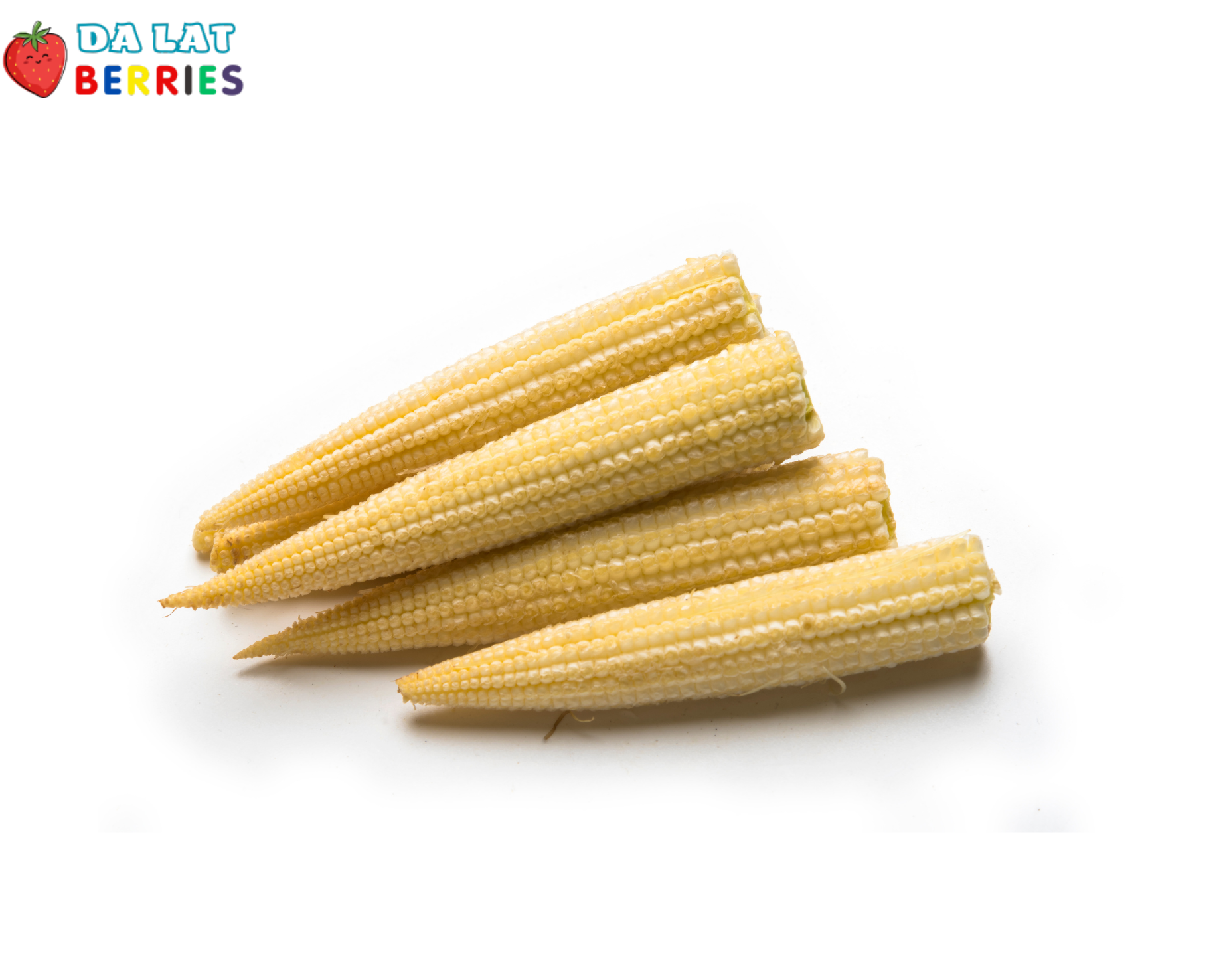 Baby Corn