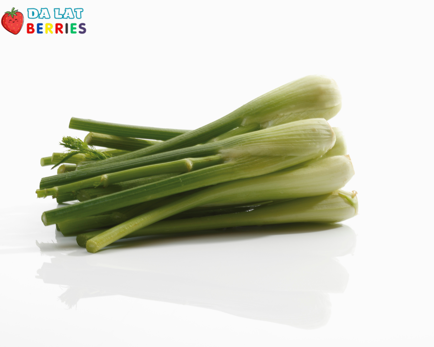 Baby Fennel