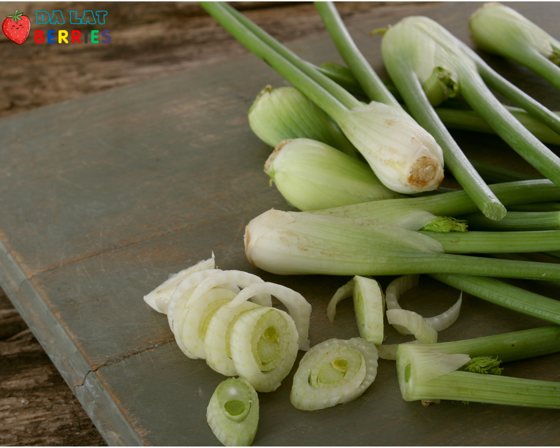 Baby Fennel