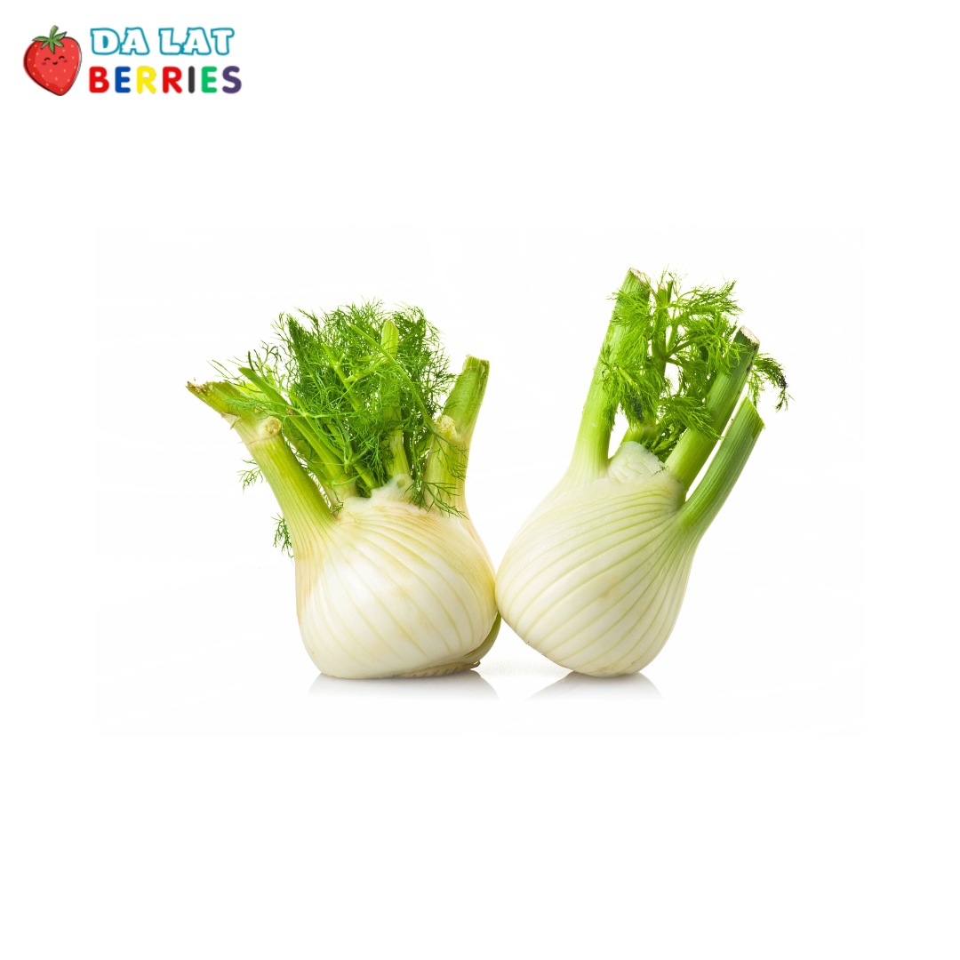 Baby Fennel