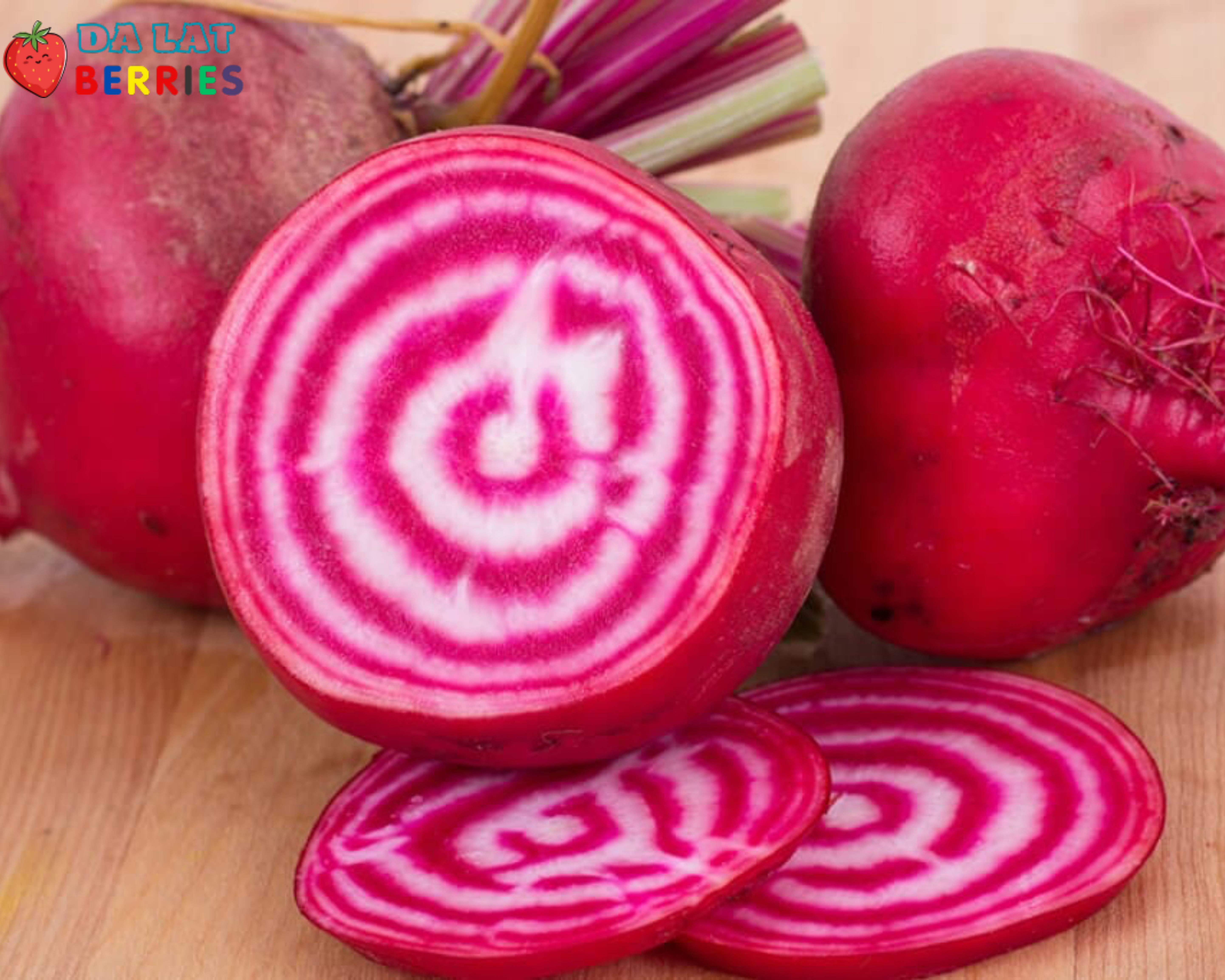 Củ Dền Chioggia