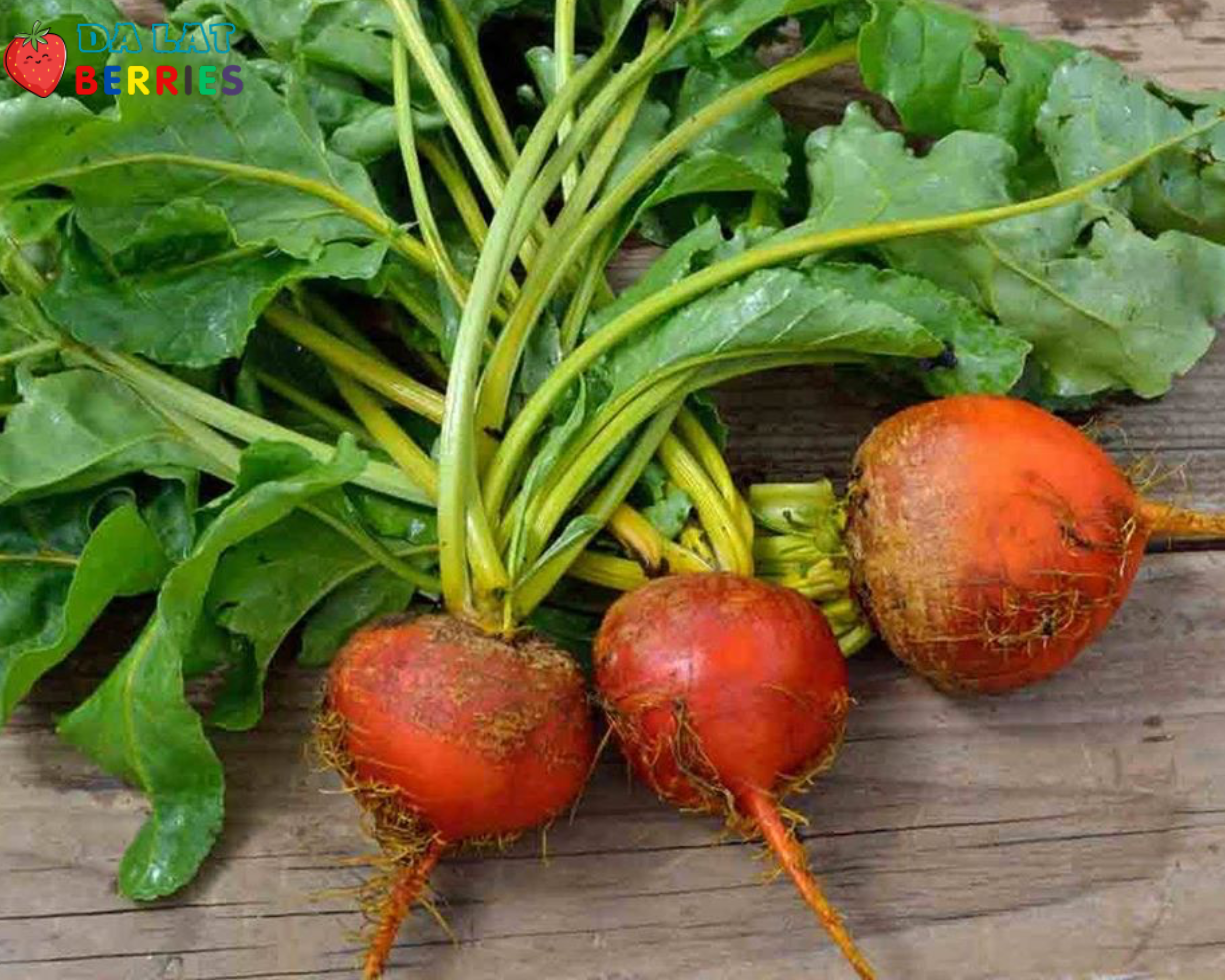 Củ Cải Vàng Tươi