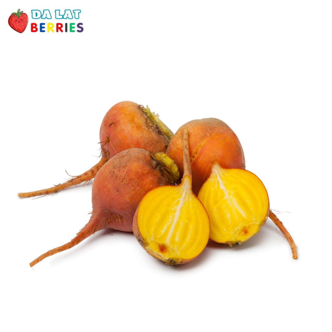 Củ dền vàng (Golden Beet)